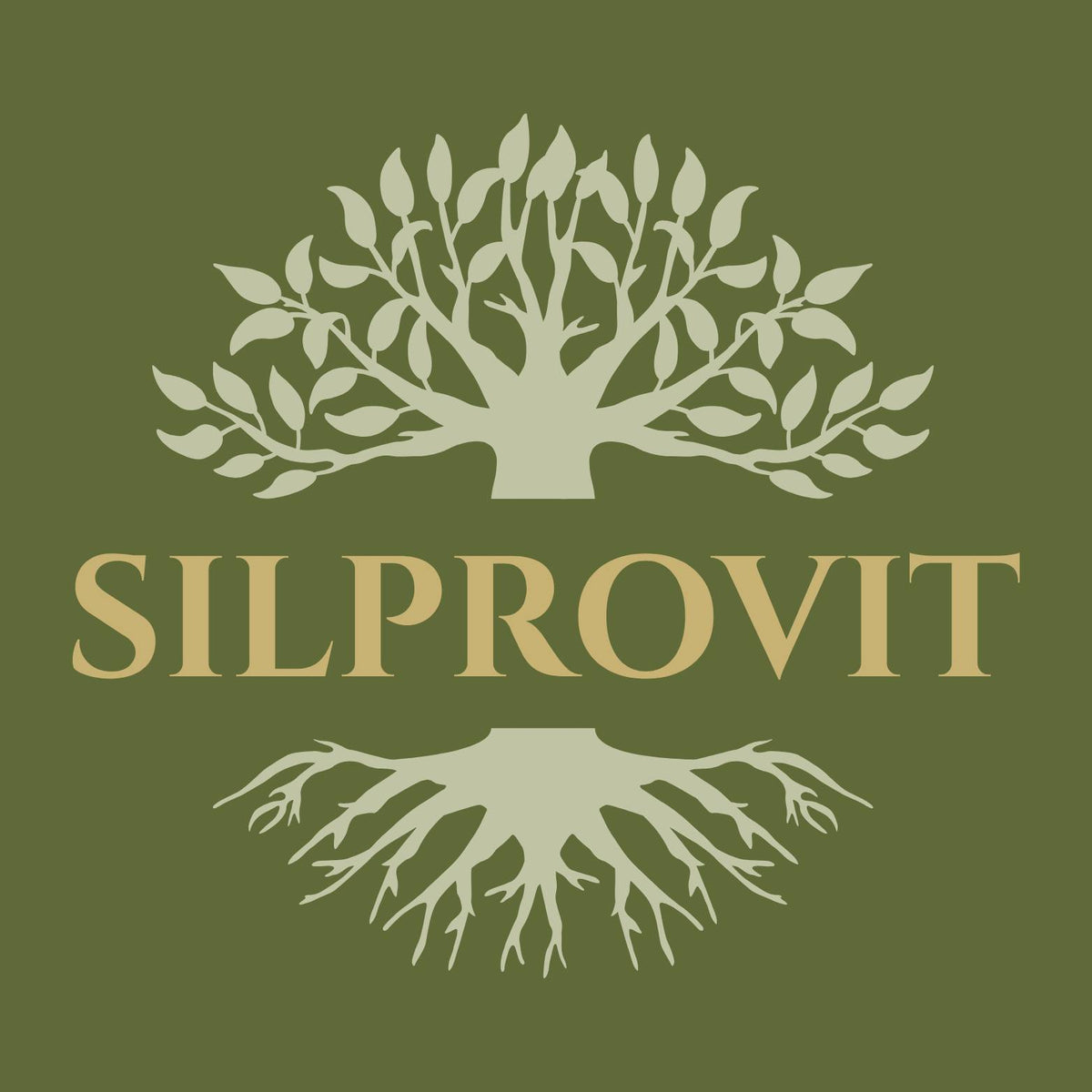 Silprovit